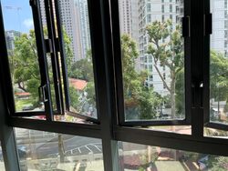 Valley Park (D10), Condominium #393681161